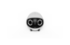 Enabot Rola Mini Cat and Dog Robot with Camera 