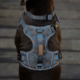 Pointer & Hound Signature Dog Harness