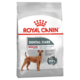 Royal Canin Medium Dental Care Dry Dog Food