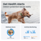 Tractive Dog XL GPS Tracker