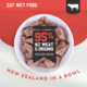 Kiwi Kitchens Beef Wet Cat Food