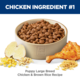 Hill's Science Diet Puppy Large Breed Dry Dog Food