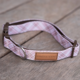 Pointer & Hound Signature Dog Collar