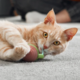 Cheerble Wicked Snail Smart Cat Toy