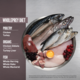 Orijen Fit & Trim Dry Dog Food