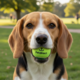 Petdirect Tennis Ball Dog Toy