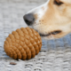 Pointer & Hound Pinecone Dog Toy