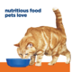 Hill's Prescription Diet c/d Multicare Urinary Care Chicken Dry Cat Food