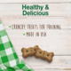Nylabone Healthy Edibles Biscuits Chicken & Veggie Dog Treats
