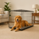 Pup & Purr Double Door Dog Crate with Divider