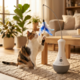 Aclium Spinning Tumbler With Teaser Cat Toy