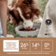 Ivory Coat Grain Free Large Breed Lamb Adult Dry Dog Food