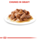 Royal Canin Instinctive Adult in Gravy Wet Cat Food
