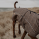 Pointer & Hound Highland Dog Coat 