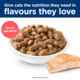Hill's Science Diet Kitten Salmon in Gravy Wet Cat Food