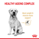 Royal Canin Labrador Retriever Adult 5+ Senior Dry Dog Food