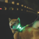 M-PETS Flash Clip-On LED Dog Light