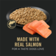 Pro Plan Adult Sensitive Skin & Stomach Salmon & Rice Entree Classic Wet Dog Food