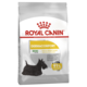 Royal Canin Mini Dermacomfort Dry Dog Food