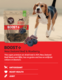 Earthz Pet BOOST+ Beef & Blueberry Air Dried Dog Treats