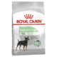 Royal Canin Mini Digestive Care Dry Dog Food