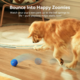Cheerble Wicked Ball Air Smart Dog Toy