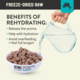 Kiwi Kitchens Fish Freeze Dried Cat Food