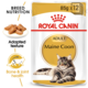 Royal Canin Maine Coon Adult Wet Cat Food