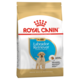 Royal Canin Labrador Retriever Puppy Dry Dog Food