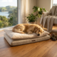 Coco & Cooper Supreme Serenity Orthopaedic Memory Foam Dog Bed