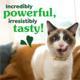Greenies Oven Roasted Chicken Dental Cat Treats