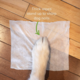 Earth Rated Compostable Dog Wipes