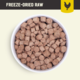 Kiwi Kitchens Chicken Freeze Dried Cat Food