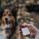 My Family QR Hushtag Plus Circle Cat and Dog Tag