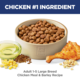 Hill's Science Diet Adult Large Breed Dry Dog Food
