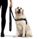 EzyDog Soft Trainer Dog Standard