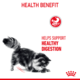 Royal Canin Digestive Care Dry Cat Food Trial Bag