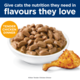 Hill's Science Diet Kitten Chicken in Gravy Wet Cat Food