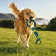 Pup & Purr Tug Flex Dual Ring Dog Rope Toy