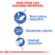 Royal Canin Indoor Dry Cat Food Trial Bag