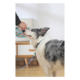 M-PETS Gentle Dog Collar