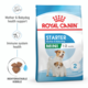 Royal Canin Mini Starter Mother & Babydog Dry Dog Food
