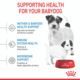 Royal Canin Mini Starter Mother & Babydog Dry Dog Food