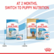 Royal Canin Mini Starter Mother & Babydog Dry Dog Food