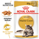 Royal Canin Maine Coon Adult Wet Cat Food