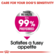 Royal Canin Mini Exigent Adult Dry Dog Food