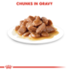 Royal Canin Hair & Skin Gravy Adult Wet Cat Food