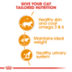 Royal Canin Hair & Skin Gravy Adult Wet Cat Food