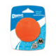 Chuckit! Fetch Ball Dog Toy