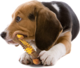 Nylabone Power Chew Philly Cheesesteak Dog Chew Toy